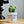 Charger l&#39;image dans la galerie, pot de fleurs piquante comme mon cactus
