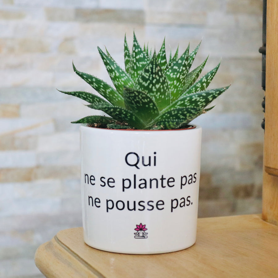 cadeau original zen