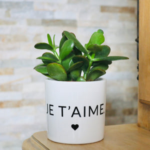 Pot de fleurs - Je t'aime.