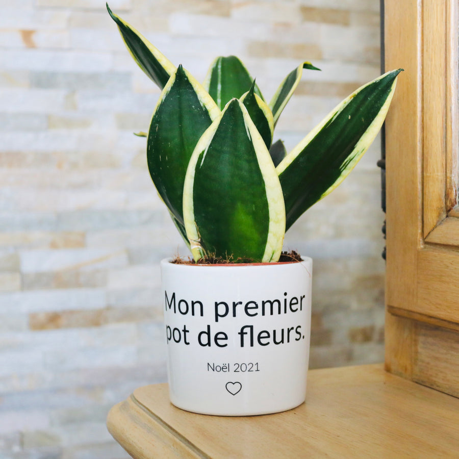 pot de fleurs personnalisé son premier pot de fleurs