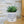 Charger l&#39;image dans la galerie, Pot de fleurs - Tu es comme ce pot. Addictif.
