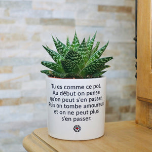 Pot de fleurs - Tu es comme ce pot. Addictif.