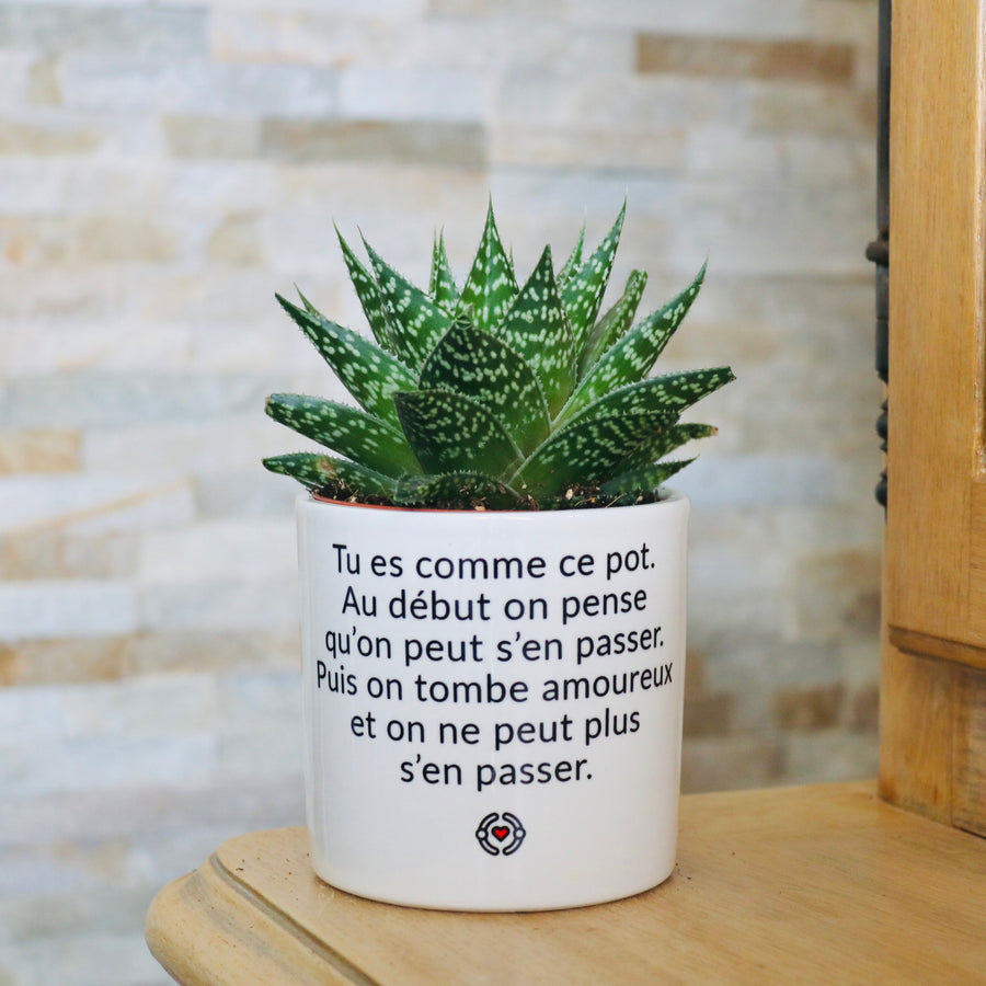 Pot de fleurs - Tu es comme ce pot. Addictif.