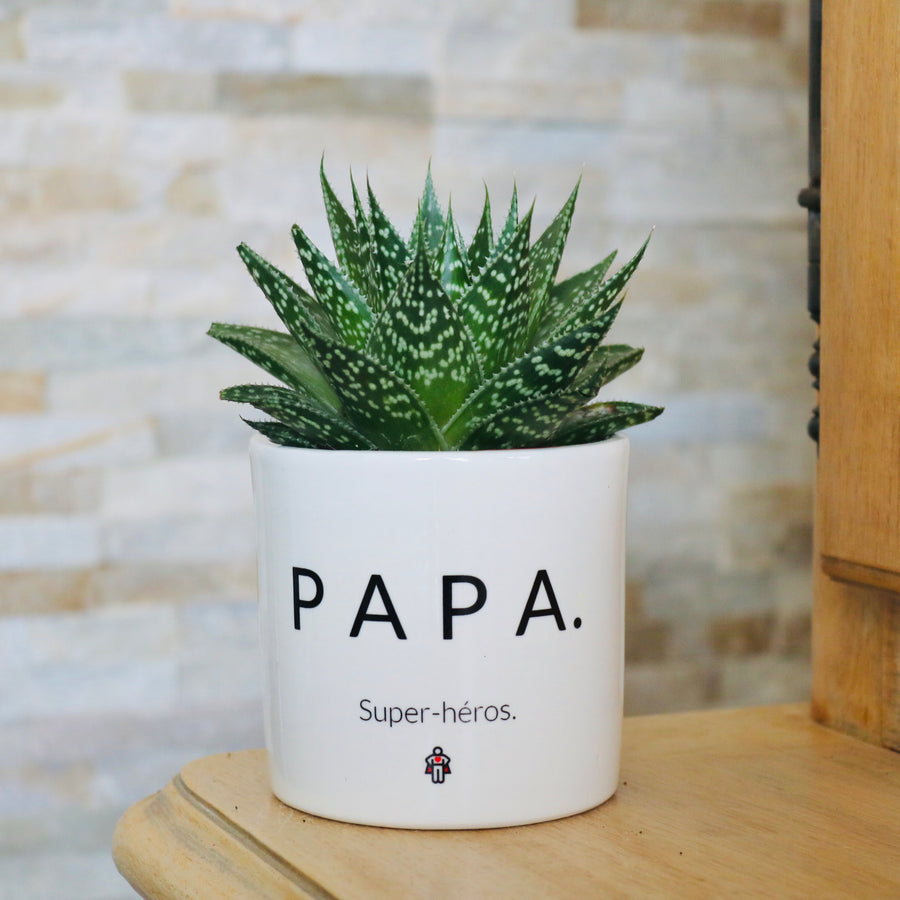 pot de fleurs personnalisé papa