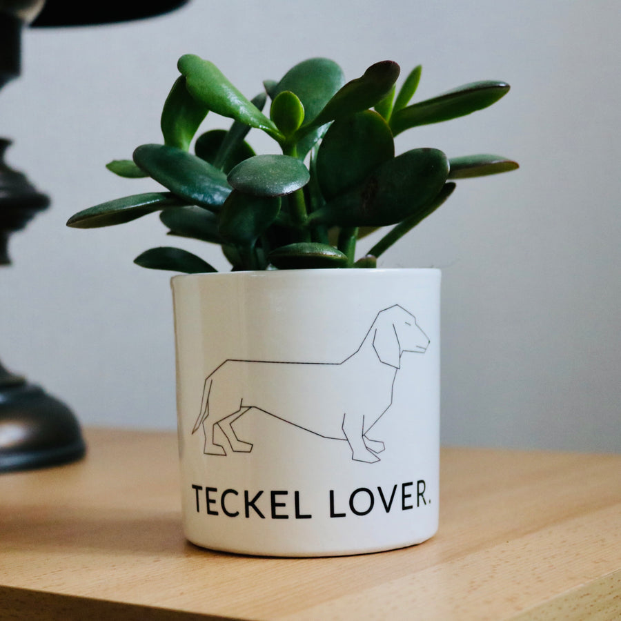Pot de fleurs - Design de Teckel.