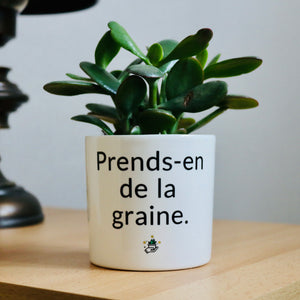 pot de fleurs prends en de la graine