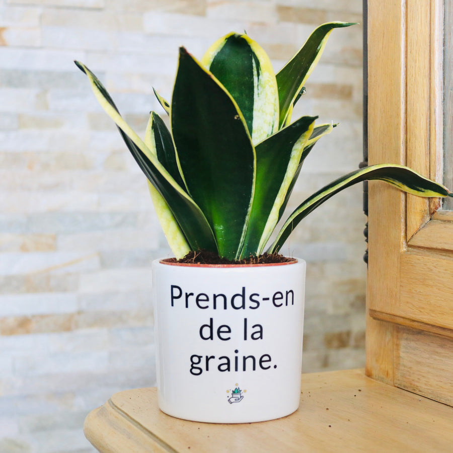 Pot de fleurs - Prends-en de la graine.