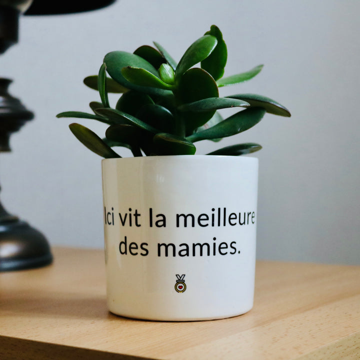 pot de fleurs personnalisé ici vit la meilleur des mamies