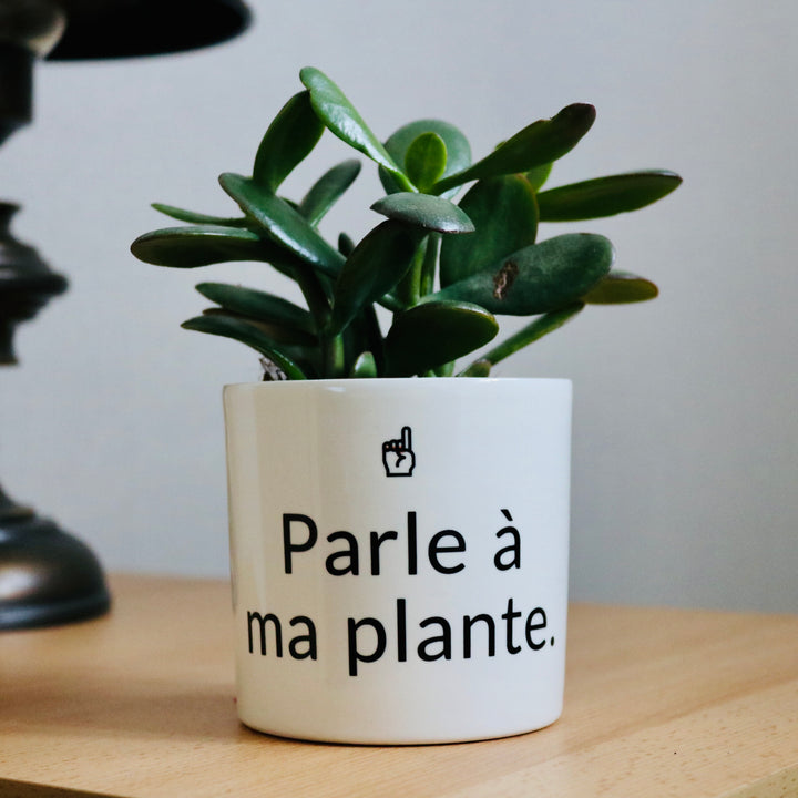 pot de fleurs parle à ma plante