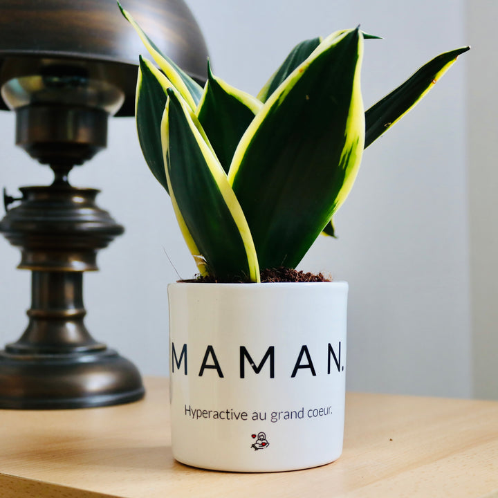pot de fleurs maman