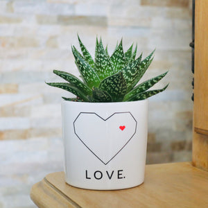 cadeau original amoureux