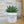 Charger l&#39;image dans la galerie, pot de fleurs original
