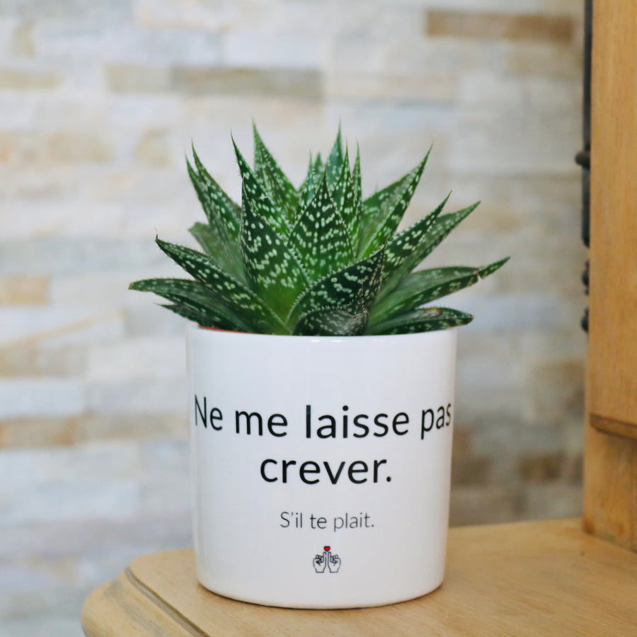 pot de fleurs original