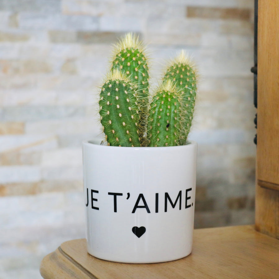 sanoa pots - je t'aime