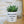 Charger l&#39;image dans la galerie, pot de fleurs personnalisé succulente comme toi
