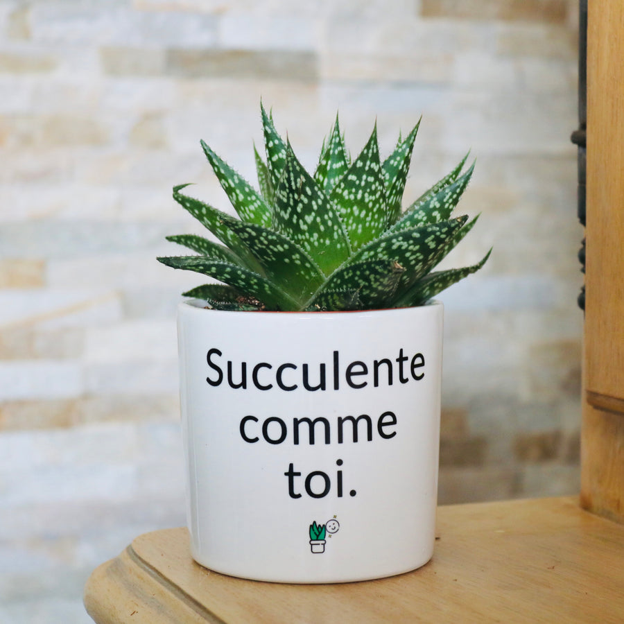 pot de fleurs personnalisé succulente comme toi