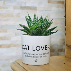 cadeau original fan de chat