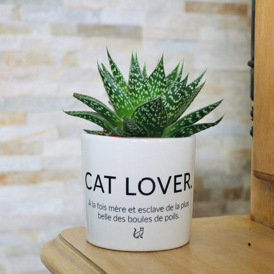 cadeau original fan de chat