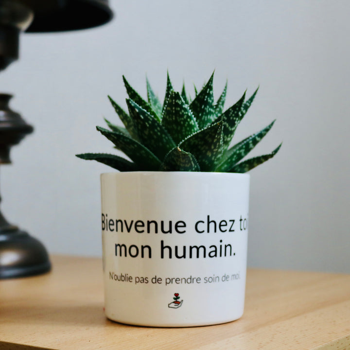Pot de fleurs personnalisé Bienvenue chez toi mon humain