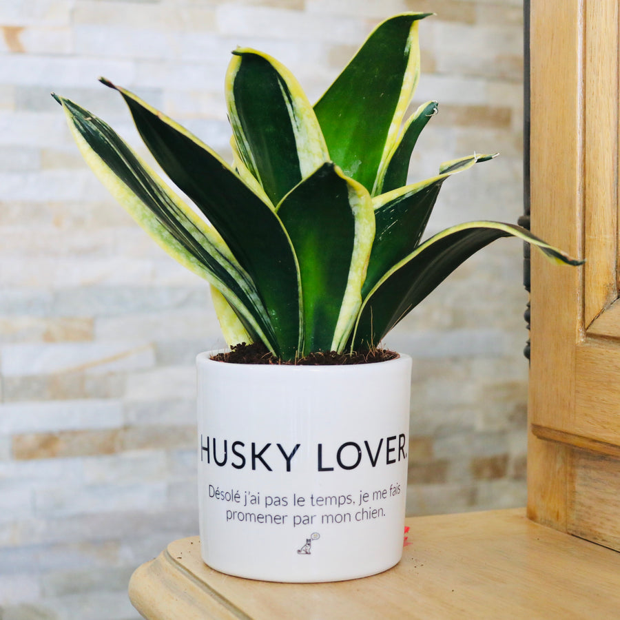 pot de fleurs personnalisé husky lover