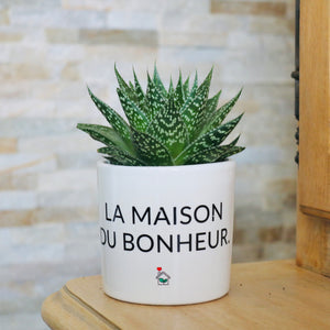 pot de fleurs personnalisé la maison du bonheur