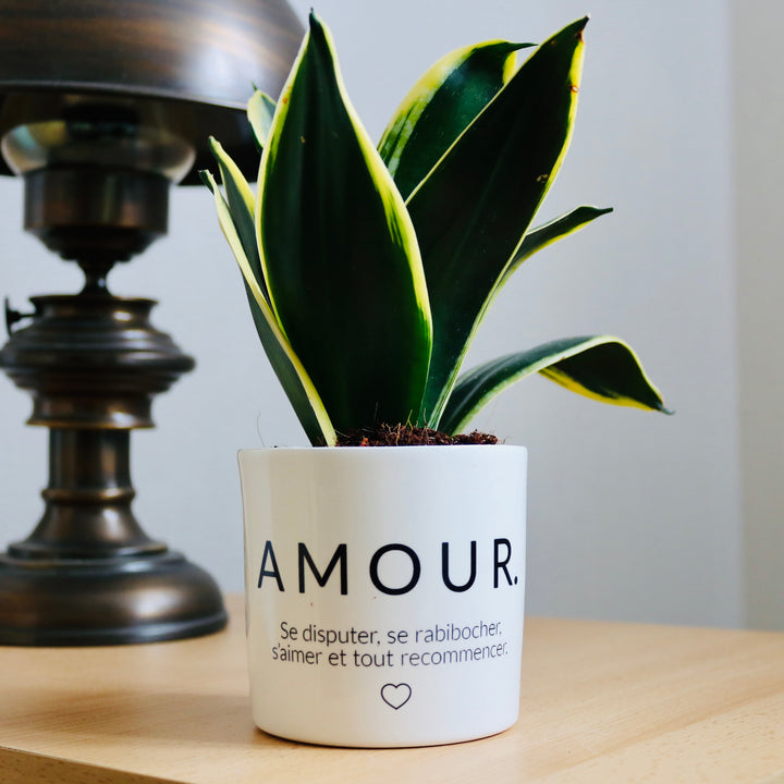 Pot de fleurs personnalisé Amour
