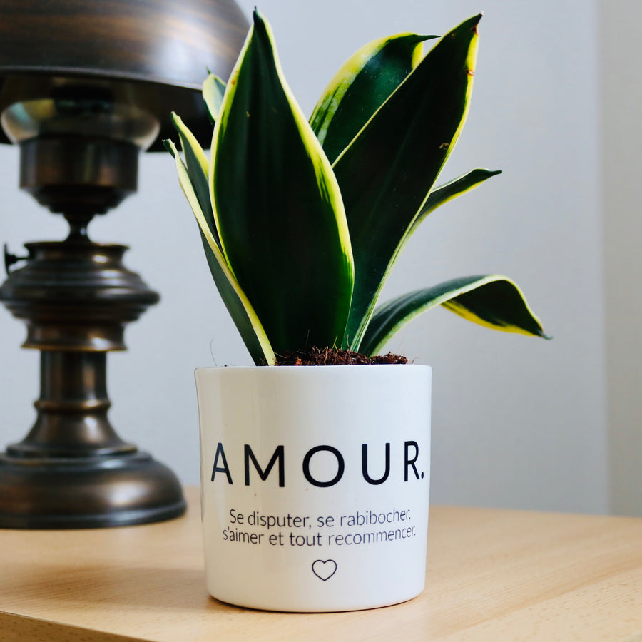 Pot de fleurs personnalisé Amour