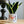 Charger l&#39;image dans la galerie, pot de fleurs photo d&#39;amoureux
