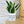 Charger l&#39;image dans la galerie, pot de fleurs original
