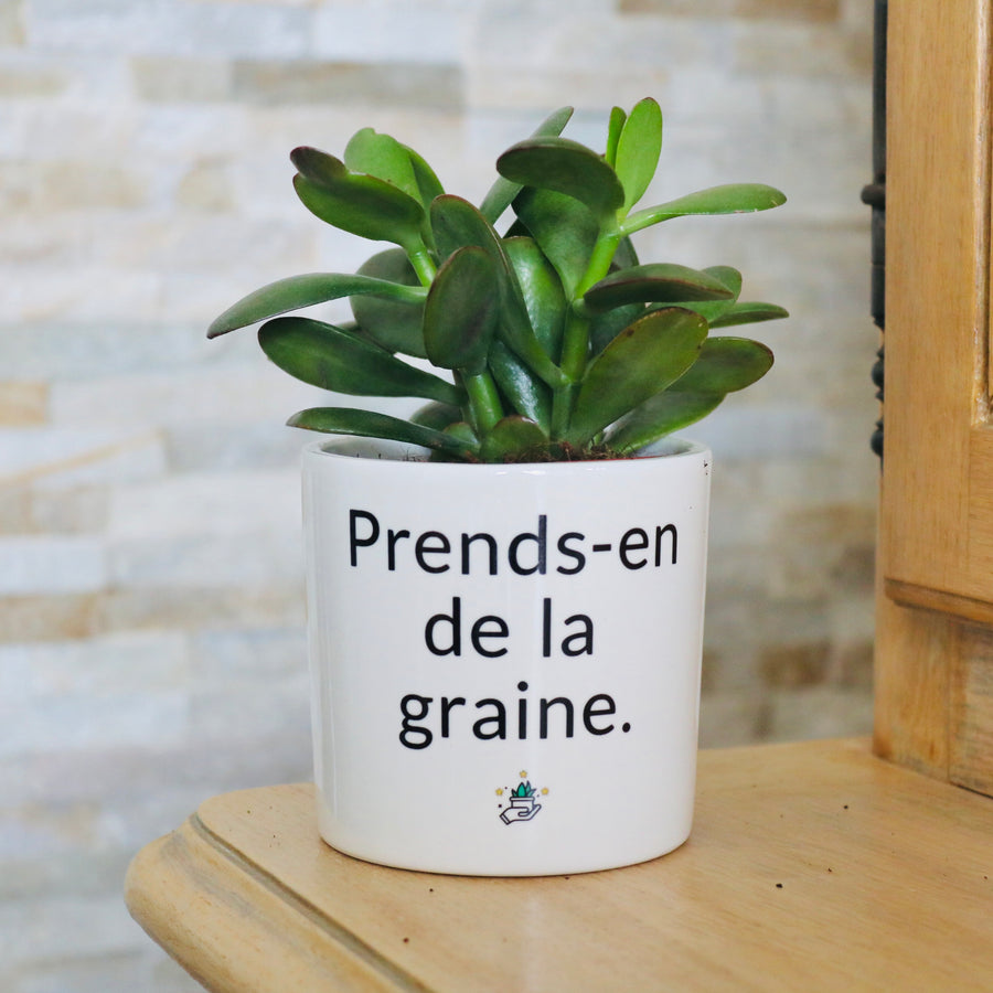 pot de fleurs personnalisé prends en de la graine
