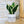 Charger l&#39;image dans la galerie, sanoa pots - Teckel lover
