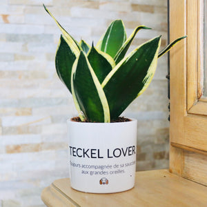 sanoa pots - Teckel lover