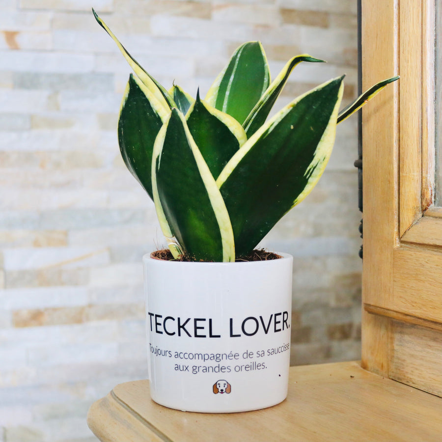 Pot de fleurs - Teckel Lover.