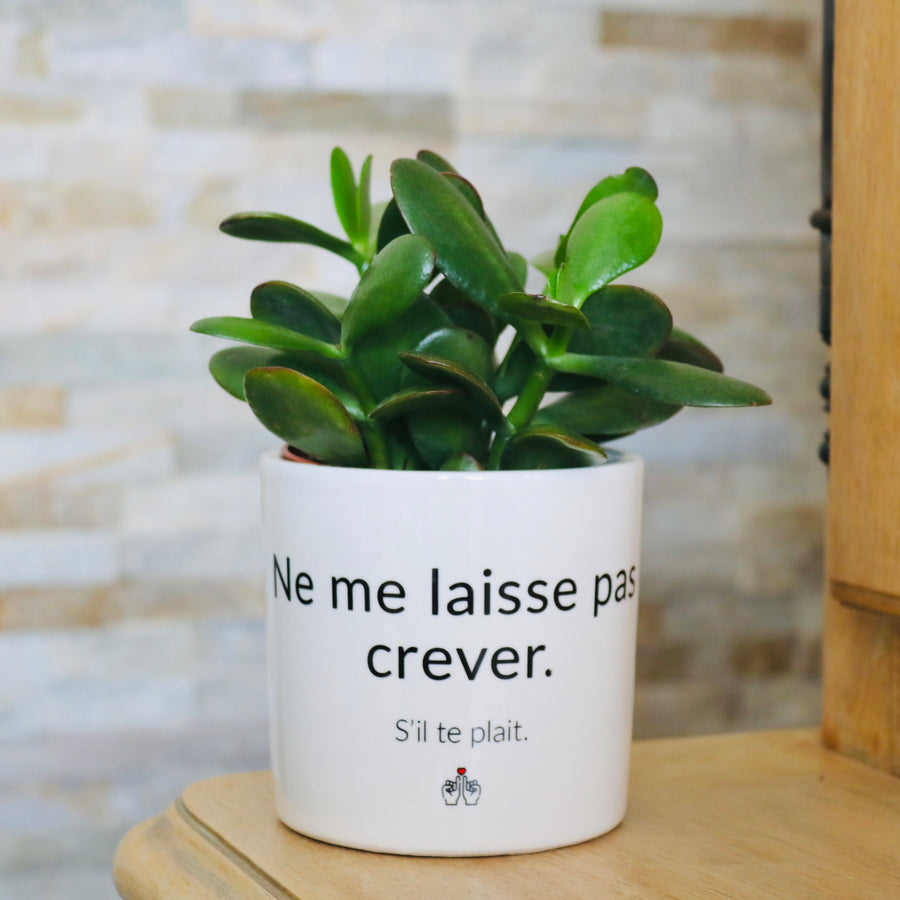 pot de fleurs personnalisé ne me laisse pas crever