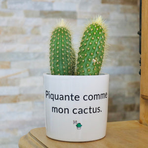 pot de fleurs personnalisé piquante comme mon cactus