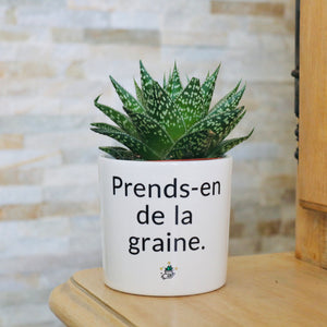 cadeau original