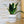 Charger l&#39;image dans la galerie, Pot de fleurs - Amour.
