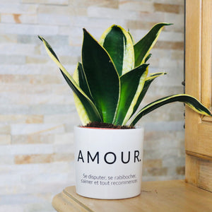 pot de fleurs personnalisé Amour