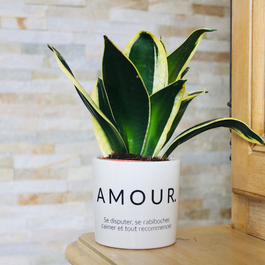 pot de fleurs personnalisé Amour