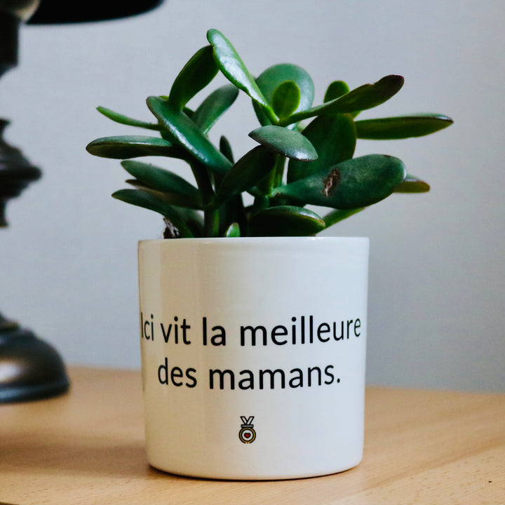 pot de fleurs ici vit la meilleur des mamans