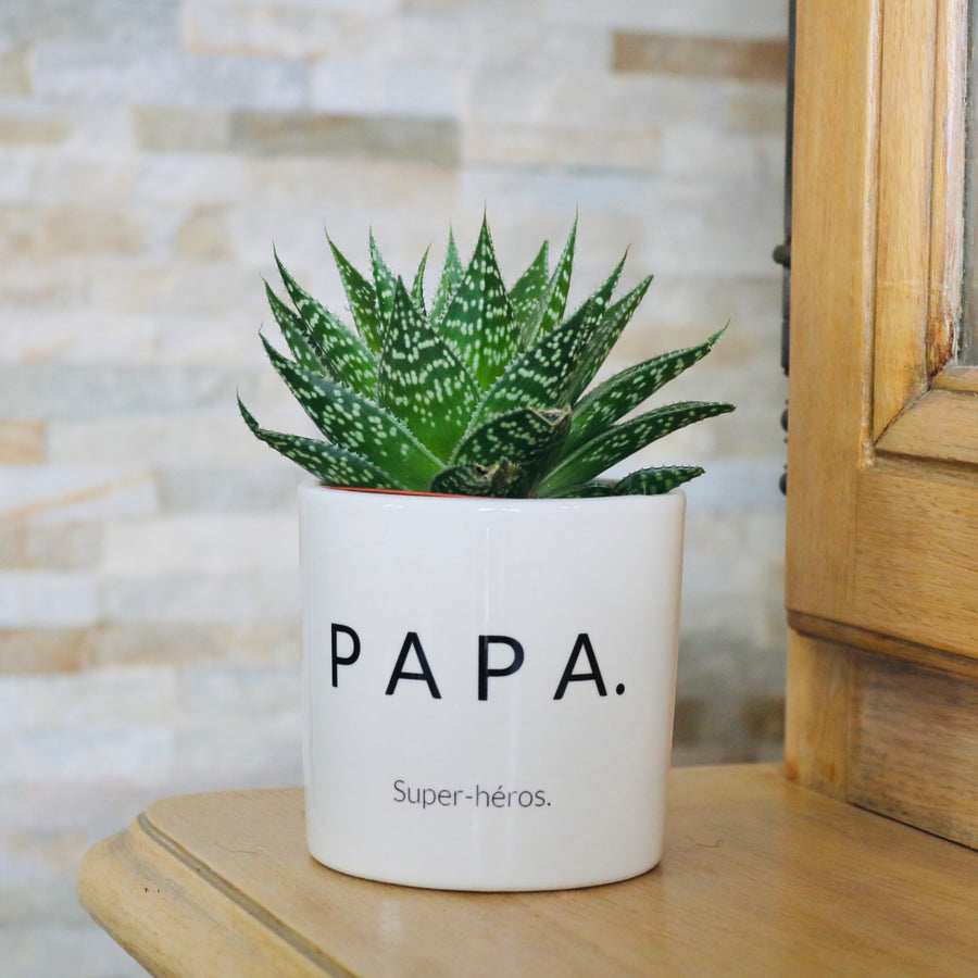 Pot de fleurs - Papa.