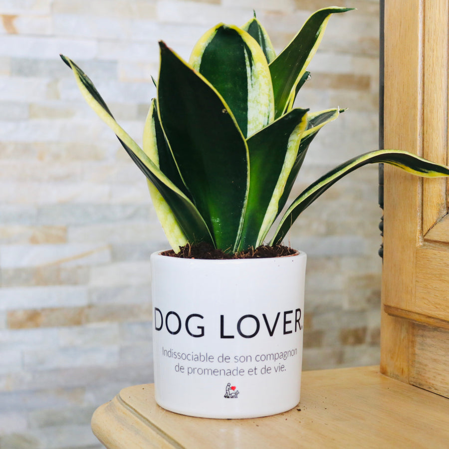 Pot de fleurs - Dog Lover.