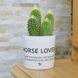 cadeau original fan de cheval