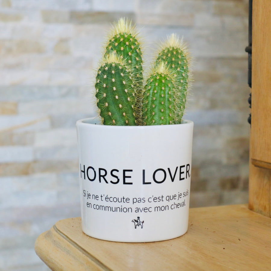 cadeau original fan de cheval
