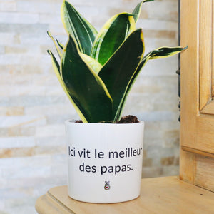 pot de fleurs personnalisé ici vit le meilleur des papas