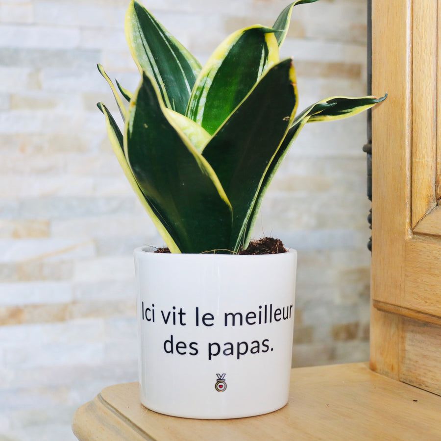 pot de fleurs personnalisé ici vit le meilleur des papas