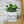Charger l&#39;image dans la galerie, Pot de fleurs personnalisé Tata
