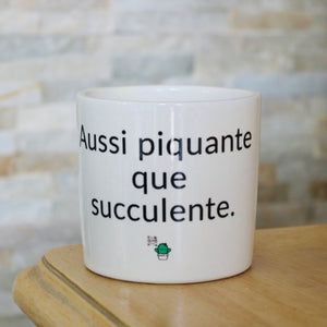 pot de fleurs personnalisé aussi piquante que cucculente