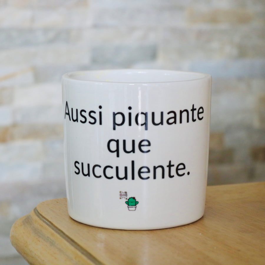 pot de fleurs personnalisé aussi piquante que cucculente