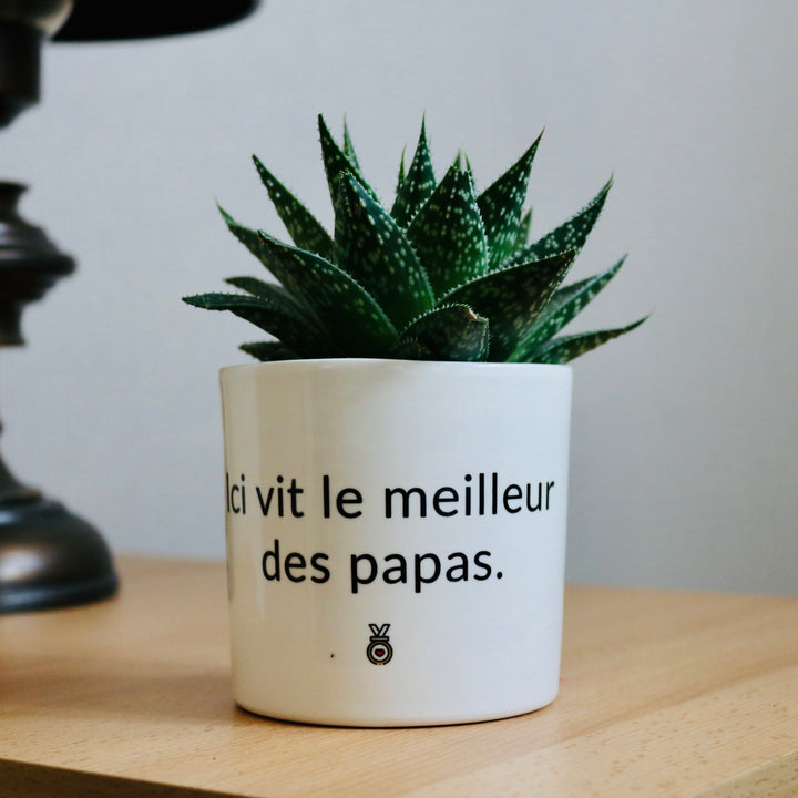 pot de fleurs le meilleur des papas